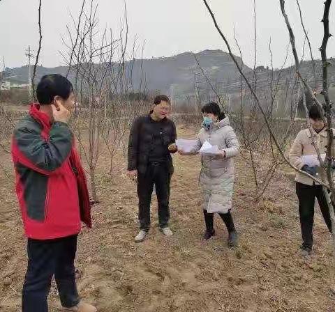 韩城市农业农村局春训厉兵强本领 凝心聚力开新局