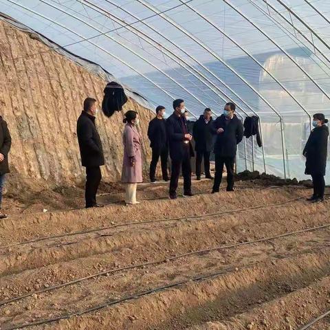 韩城市农业农村局多措并举扎实开展春训活动