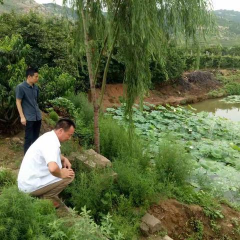 万庄管区本周工作动态