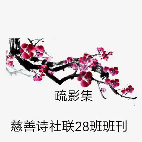慈善诗会联28班班刊《疏影集》