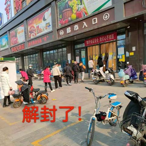 蔷薇花的美篇