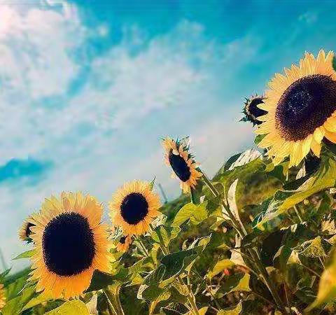 做一名有温度的“光源”教师——贝尔路小学教育集团主校区六年级部《星教师年度榜样》读书分享会