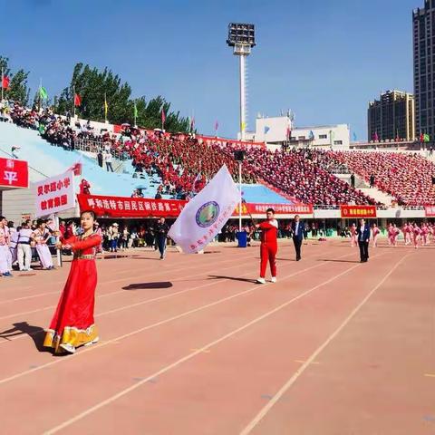 向光生长 春暖花开