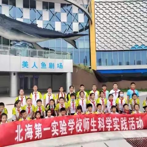 我和科学手拉手