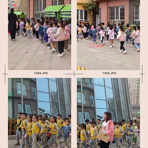 🌸相约三月，🌸爱伴成长——中九班第四周精彩花絮