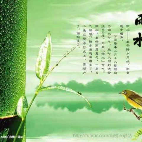 二十四节气——雨水
