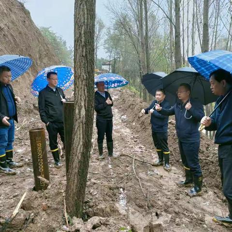 杜立新副局长一行冒雨深入国道309线屯留境内水毁路段现场办公