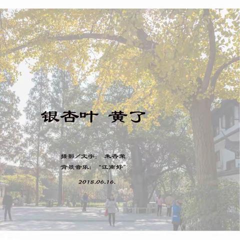 银杏叶黄了