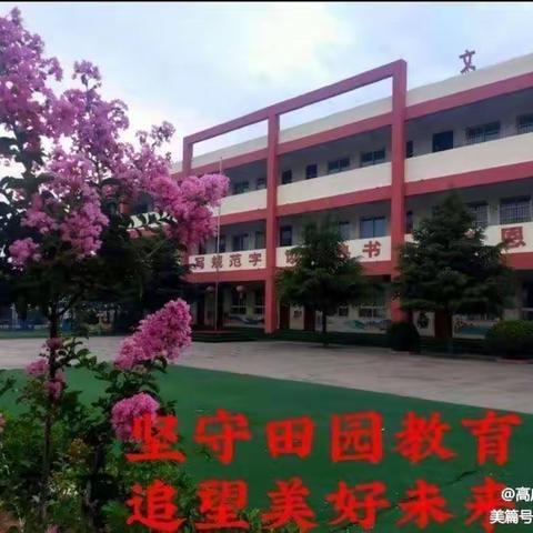 师爱无痕，花开无声——高庄乡新庄小学教师教育随笔集札