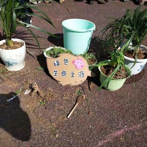 3.12植树节+动感体智能