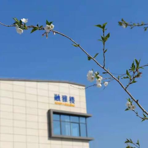 宿豫区庐山路小学春节期间疫情防控健康教育