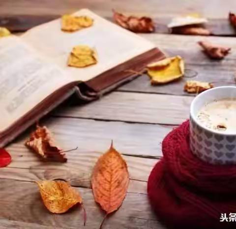 书韵留香 悦读悦美———滨城区初中生物名师工作室读书交流（七）