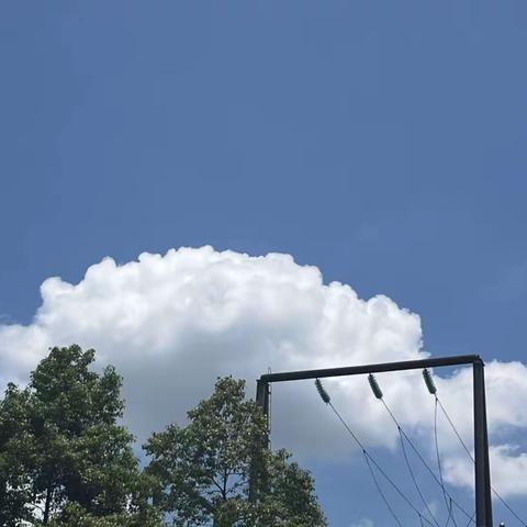 2217班级读书会5.31