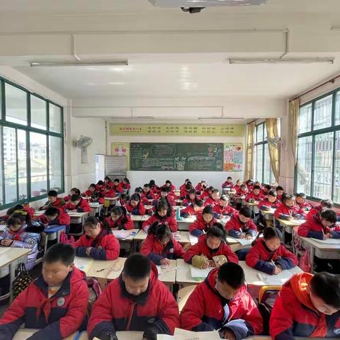 训练能力   夯实基础——学生语文活动总结