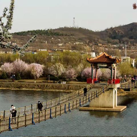 春风吹来百花开