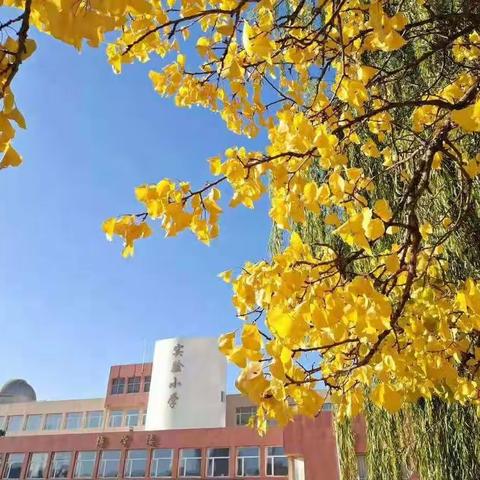 教学因研究而美丽 一一实验小学召开“十四五”市级课题研讨会