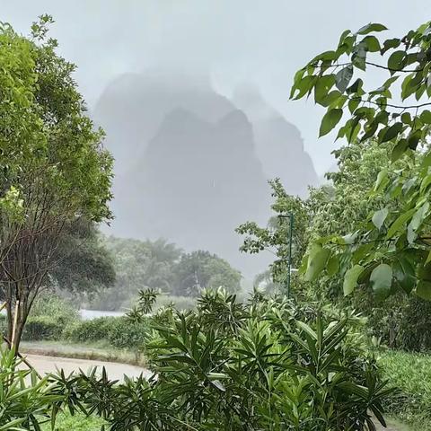 南国行记（一）