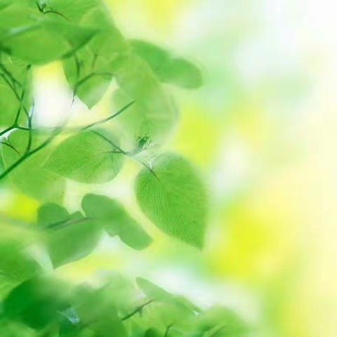 名师课堂示范引领   网络教研砥砺前行  ――唐县第一小学研训活动纪实