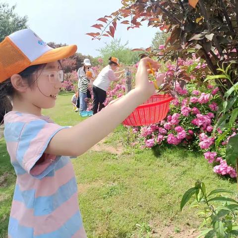 小牛顿户外植物拓染研学活动