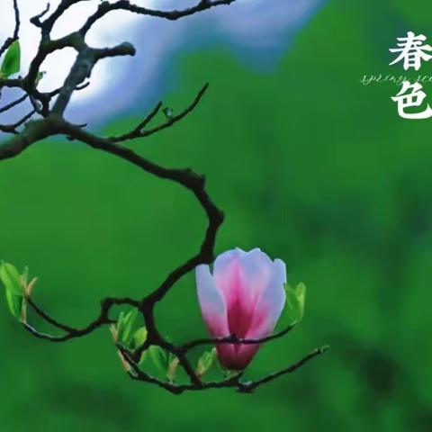 相聚相聚再相聚（美北卡NC小公园）2023/05/05