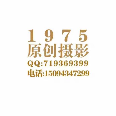 我的美篇