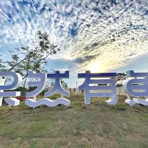 在龙泉驿洪安 | 有一种暑期打开方式叫赶鱼