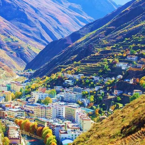 阳光谷地 生态共享｜甘孜得荣县生态农业高质量发展暨特色农产品推介会召开