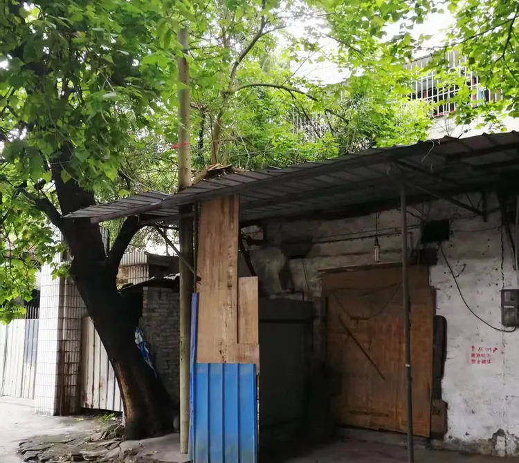 图片[4]-邵培德｜天生白虎汤——谨以此文，纪念已去世13年的父亲-华闻时空