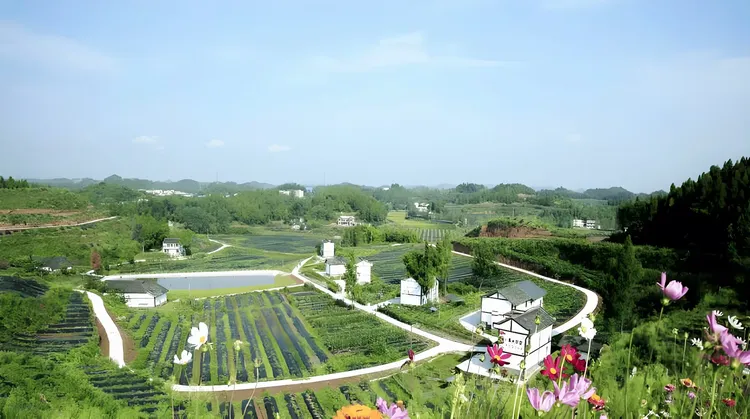 图片[3]-邵培德｜白云苍狗与沧海桑田——为南部县城改革开放三十年变迁而作-华闻时空