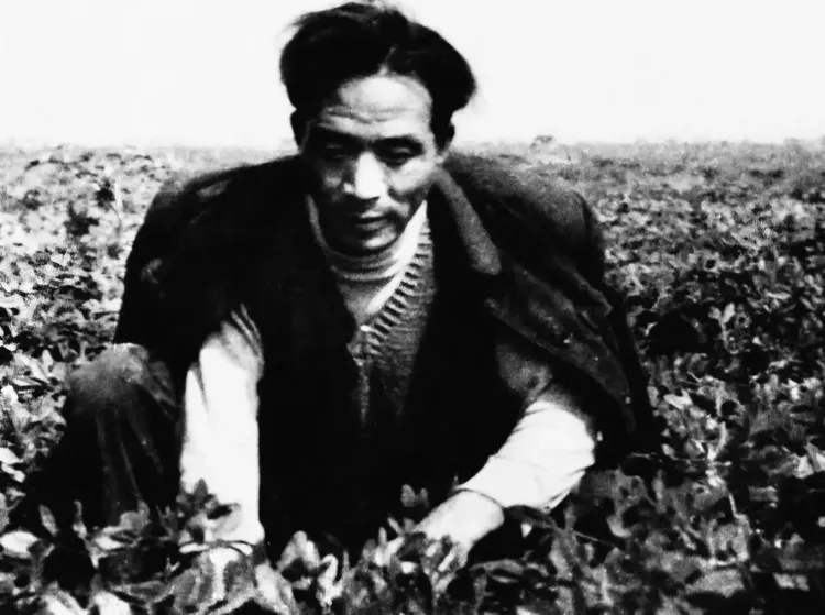 图片[7]-褚成炎｜国魂赋/根铸千秋史 魂凝万代心——论褚成炎先生《国魂赋》的精神气象与文学价值-华闻时空