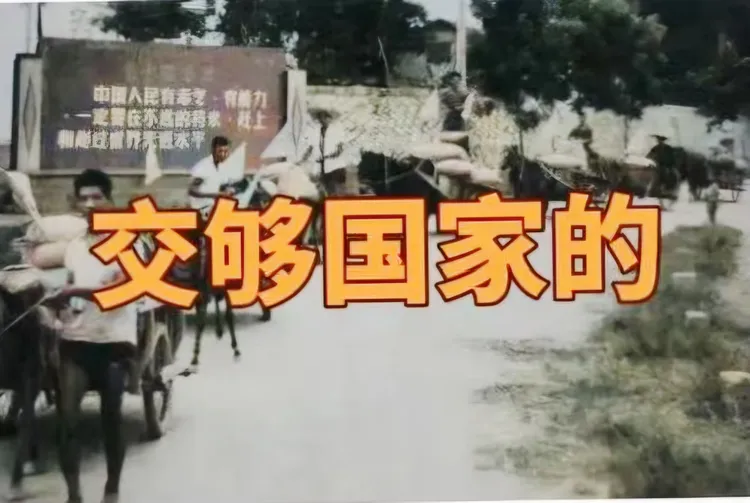 图片[9]-褚成炎｜免田税赋/附谭平祥、黄党生评论-华闻时空