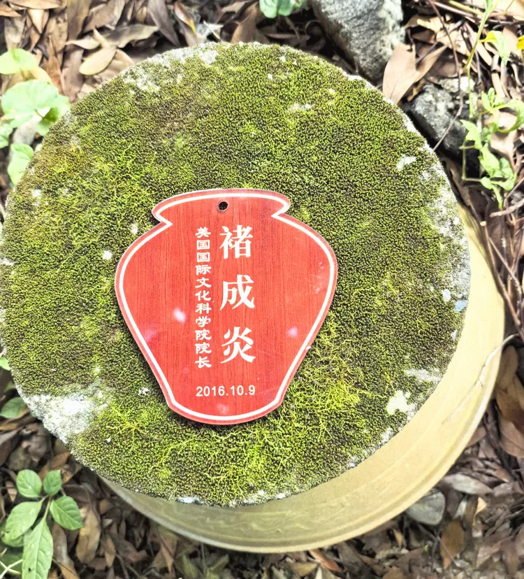 图片[4]-酒脉贯古今，山河入坛来——《金盆地·种酒赋》的文化解码与精神纵深-华闻时空