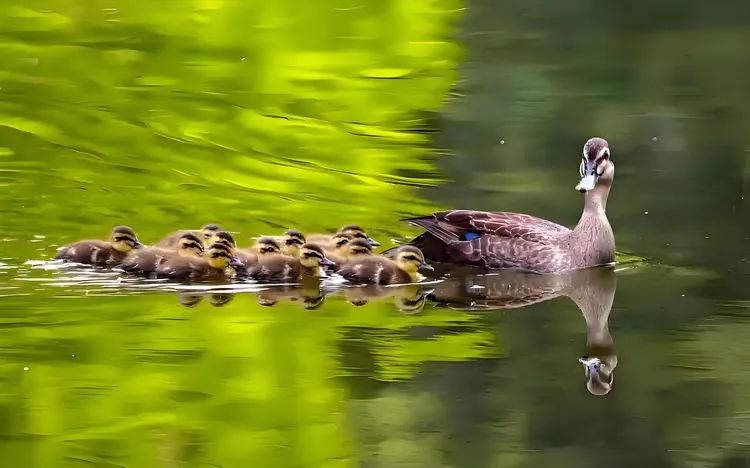 图片[5]-纪实散文｜我的父亲黄大海-华闻时空