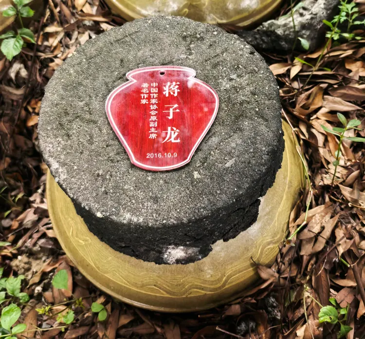 图片[7]-酒脉贯古今，山河入坛来——《金盆地·种酒赋》的文化解码与精神纵深-华闻时空