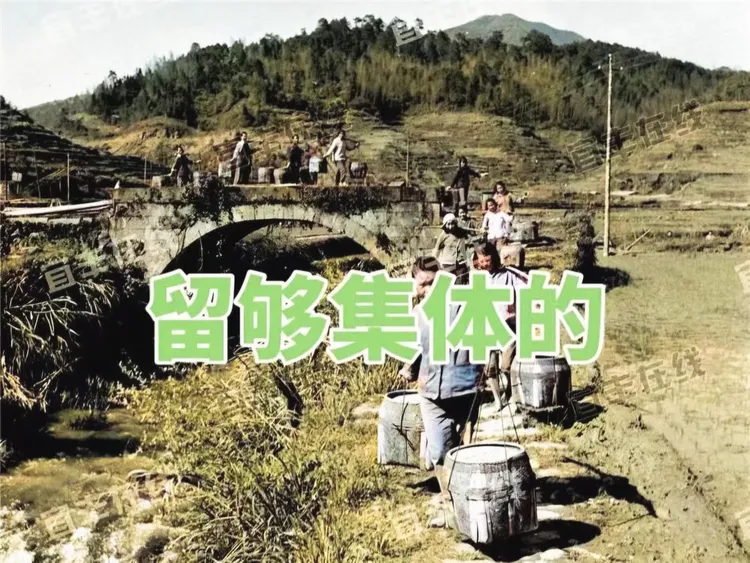 图片[10]-褚成炎｜免田税赋/附谭平祥、黄党生评论-华闻时空