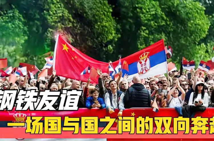 图片[8]-褚成炎｜国友赋/《国友赋》解析：千年邦交之道的赋体书写与当代升华-华闻时空