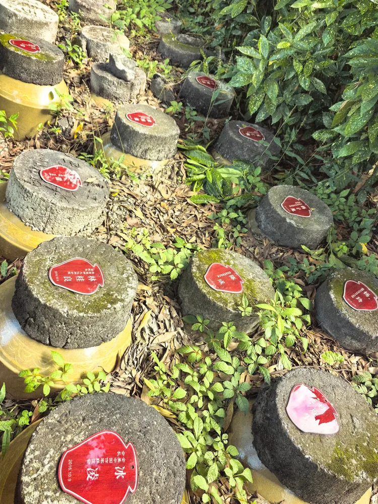 图片[13]-酒脉贯古今，山河入坛来——《金盆地·种酒赋》的文化解码与精神纵深-华闻时空