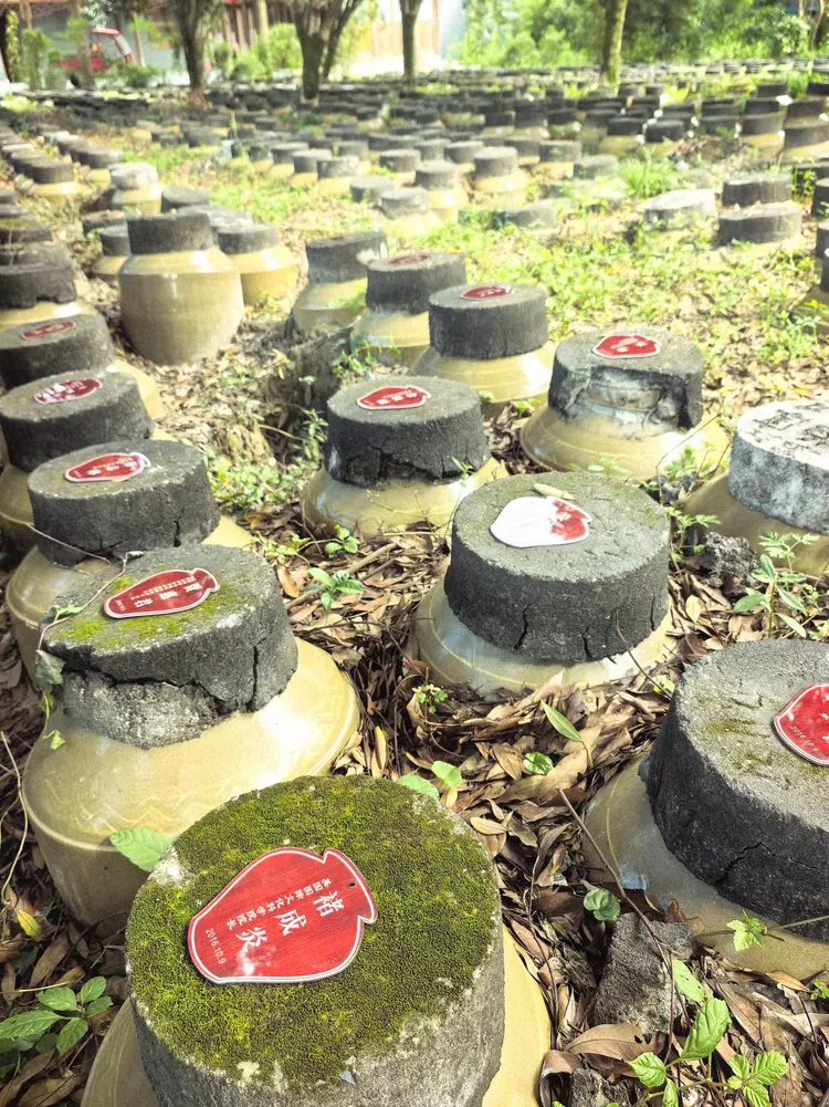 图片[14]-酒脉贯古今，山河入坛来——《金盆地·种酒赋》的文化解码与精神纵深-华闻时空