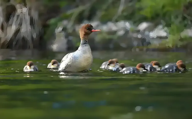 图片[9]-纪实散文｜我的父亲黄大海-华闻时空