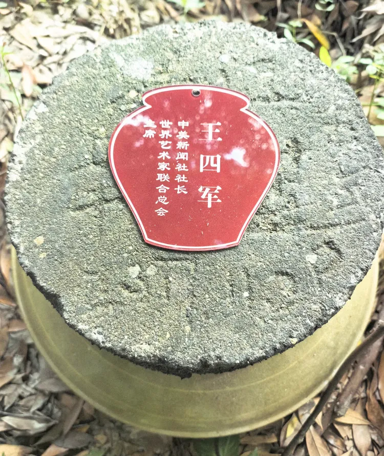 图片[12]-酒脉贯古今，山河入坛来——《金盆地·种酒赋》的文化解码与精神纵深-华闻时空