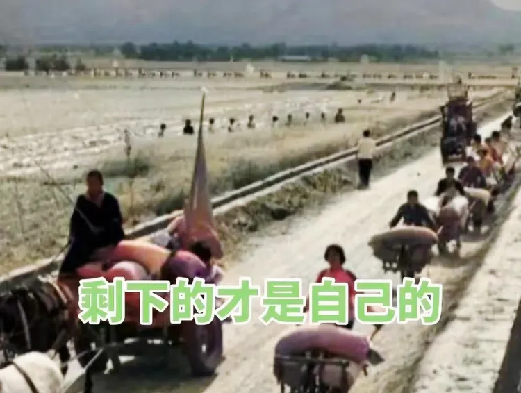 图片[11]-褚成炎｜免田税赋/附谭平祥、黄党生评论-华闻时空
