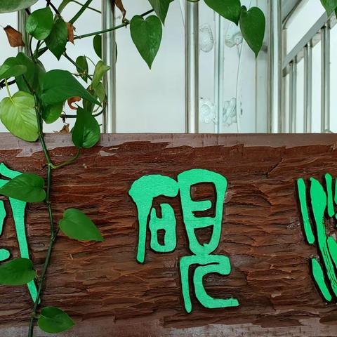 漱砚堂·2023暑期书法、中国画班开始招生啦！