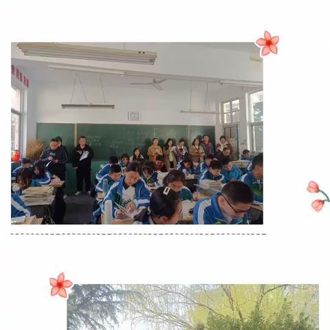 研途花开不负春