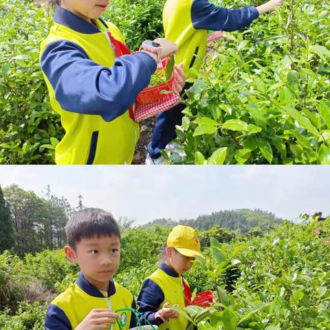 我劳动，我能干，劳动最光荣！