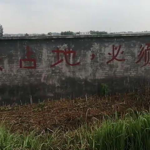 郭庄村全记录:种粮食的耕地被圈占闲置长达三年之久，可以吗？