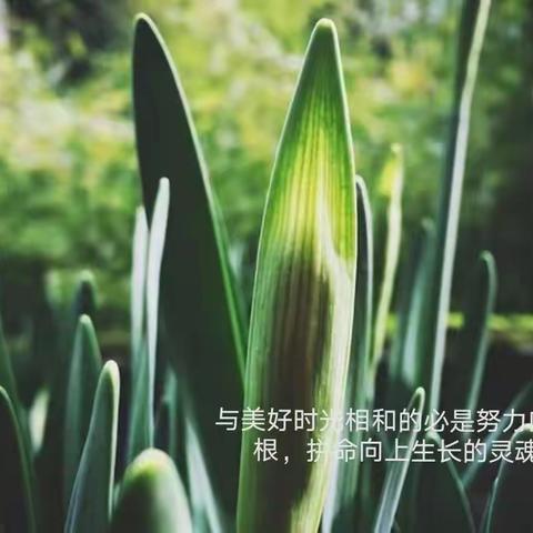 慧雅少年暑假好习惯养成计划