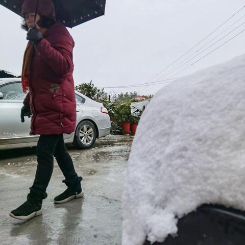 瑞雪俏佳人（2022正月初七）