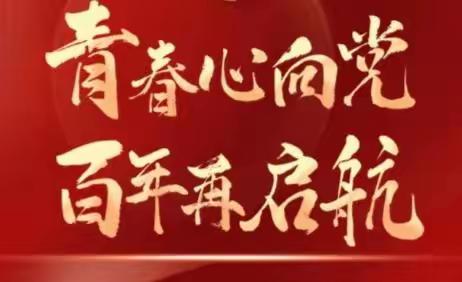 19汉二观看“共青团《青春心向党，百年再启航》主题云团课”情况汇总