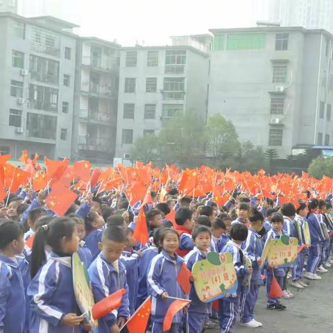 落实“双减”强体魄，运动赛场展英姿——丰城市杨柳湖小学第二十二届学生运动会