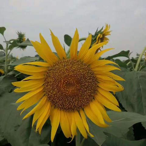 1802暑假社会实践，暑假体验生活和暑假游记